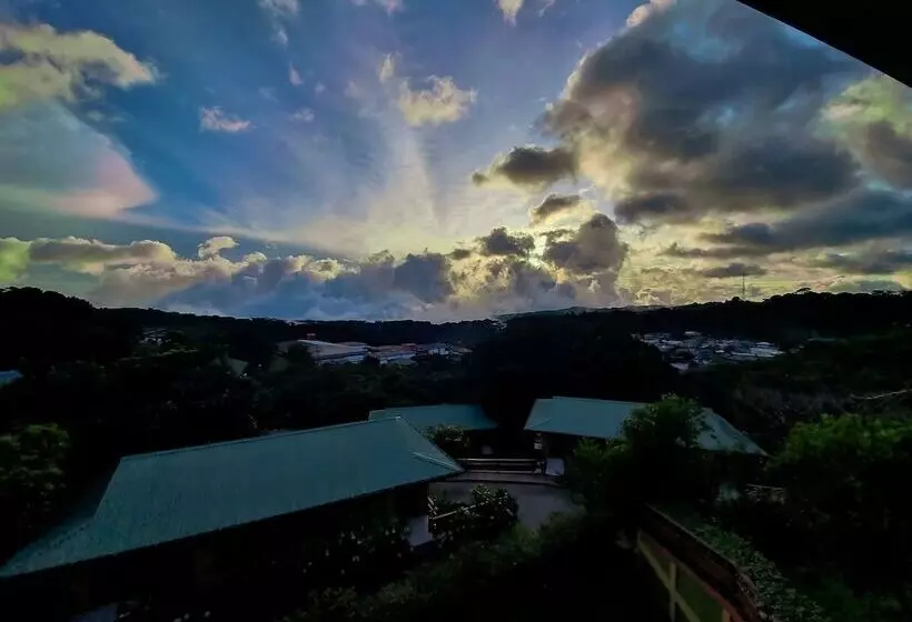 Fotos del hotel Ficus  Monteverde:  14