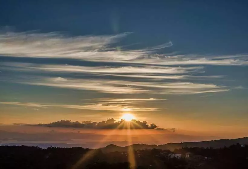 Fotos del hotel Ficus  Monteverde:  15