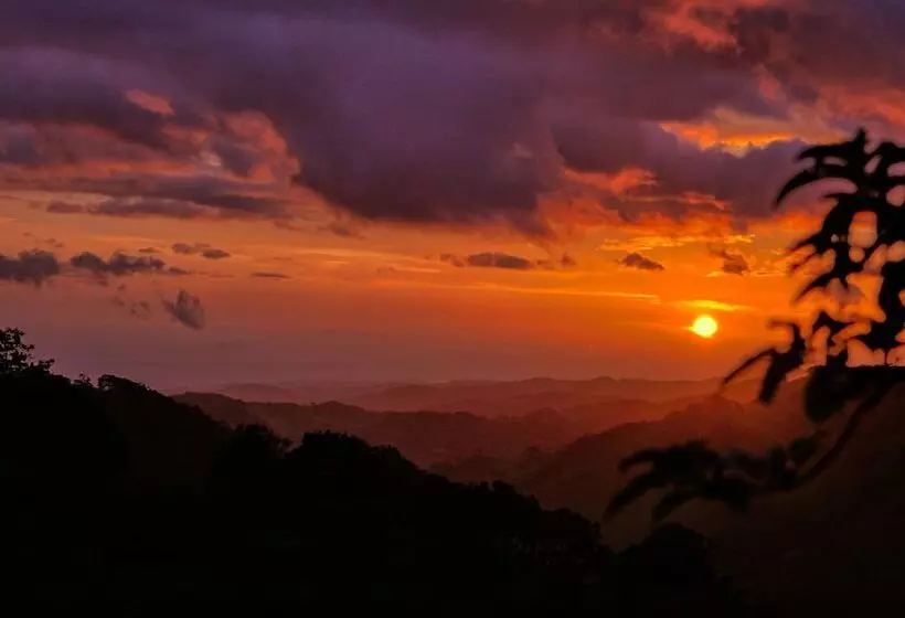 Fotos del hotel Ficus  Monteverde:  9