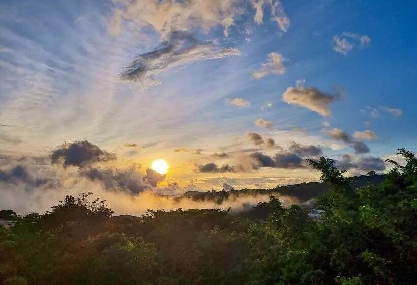 Fotos del hotel Ficus  Monteverde:  11