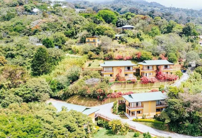 Fotos del hotel Ficus  Monteverde:  13