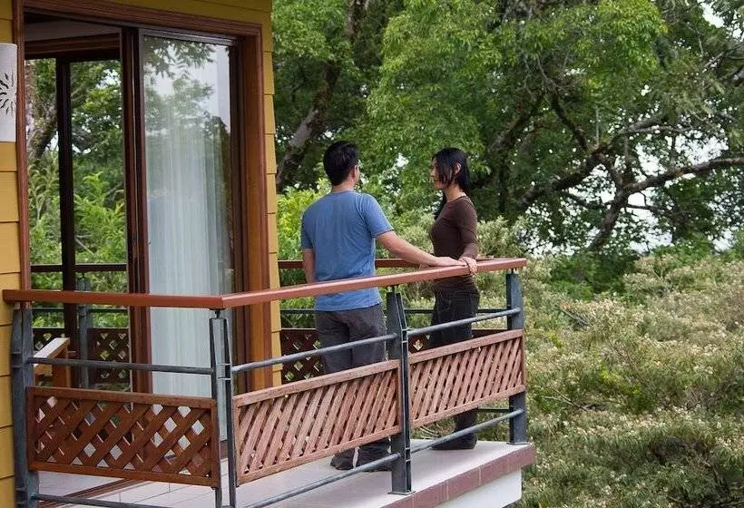 Fotos del hotel Ficus  Monteverde:  20