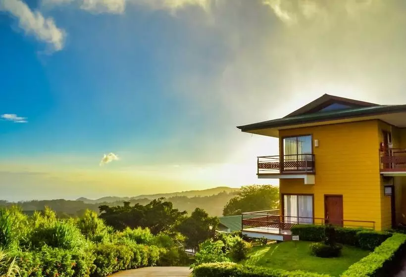 Fotos del hotel Ficus  Monteverde:  22