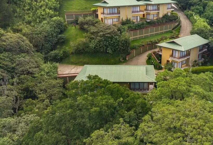 Fotos del hotel Ficus  Monteverde:  16