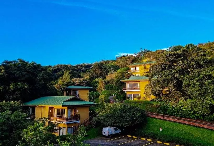 Fotos del hotel Ficus  Monteverde:  17