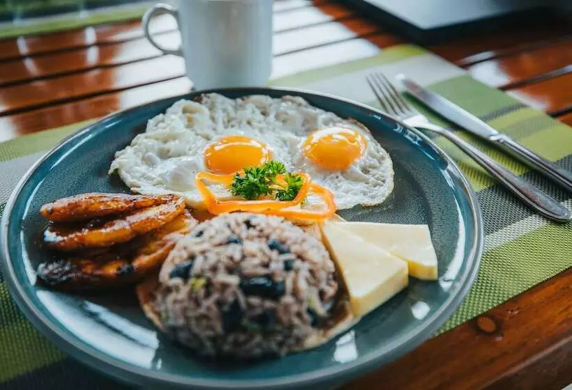 Fotos del hotel Ficus  Monteverde:  2