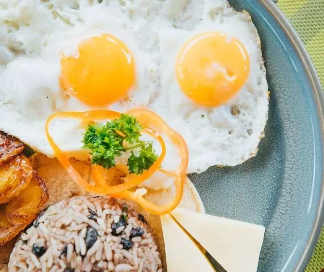 Fotos del hotel Ficus  Monteverde:  10