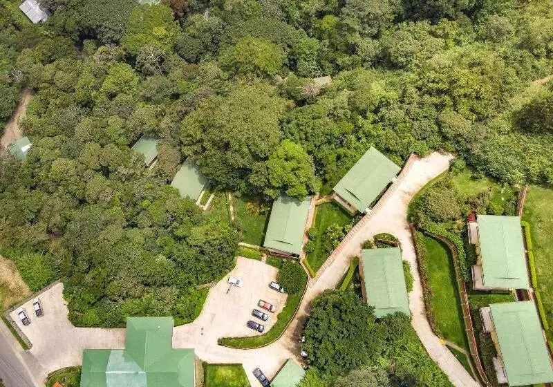 Fotos del hotel Ficus  Monteverde:  18