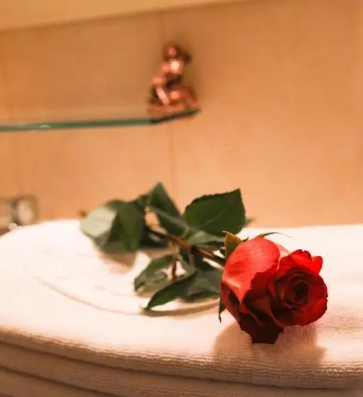 Fotos del hotel Visak:  3