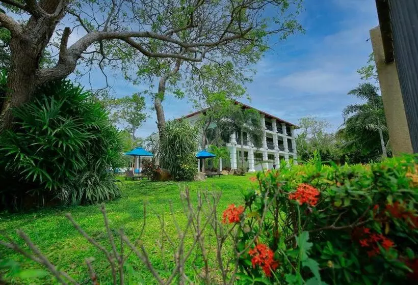 Fotos del hotel Diya Dahara Resort:  20