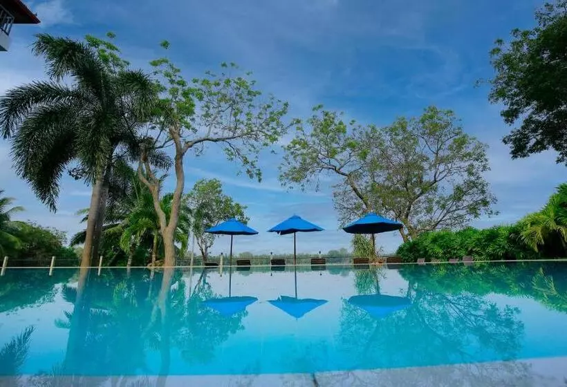 Fotos del hotel Diya Dahara Resort:  3