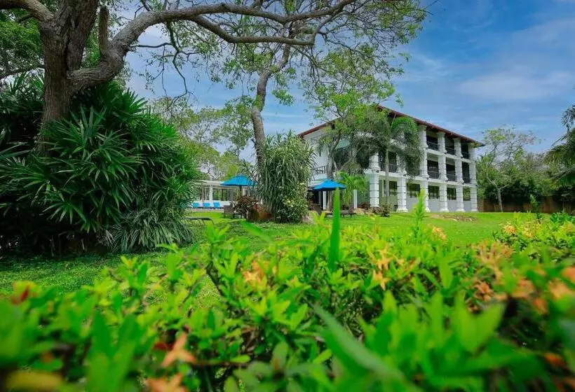 Fotos del hotel Diya Dahara Resort:  14