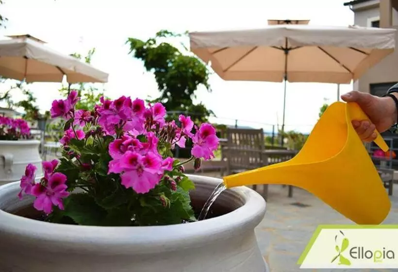 Fotos del hotel Ellopia Point:  11