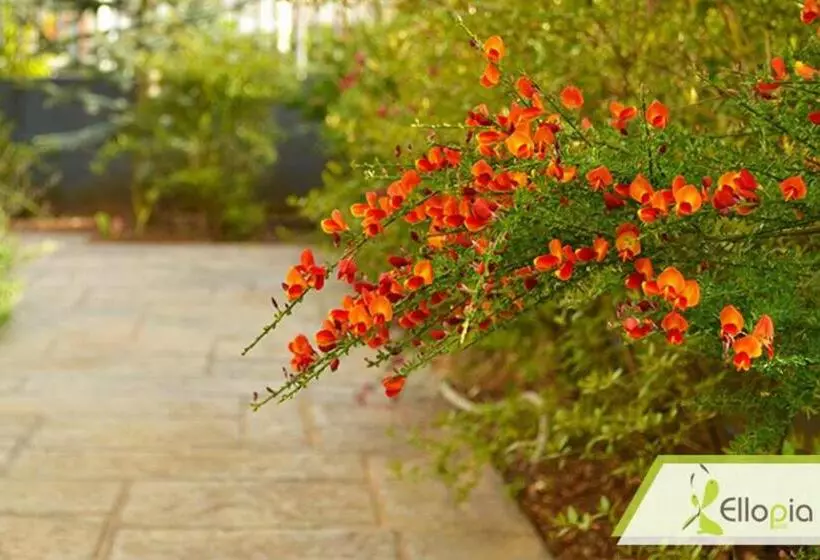 Fotos del hotel Ellopia Point:  12