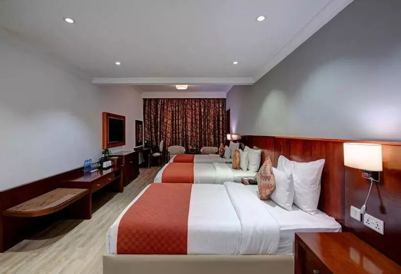 Fotos del hotel Donatello:  13