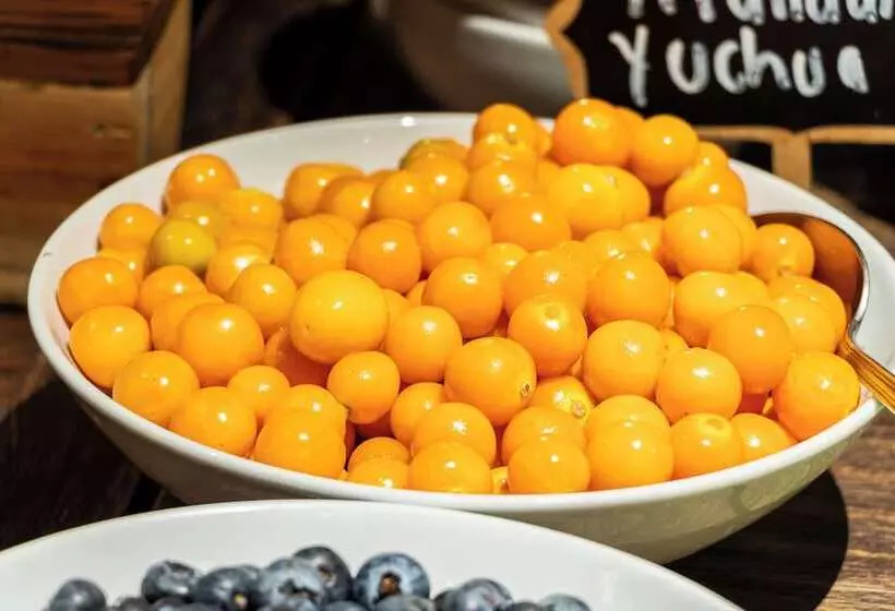 Fotos del hotel Ghl  Bioxury:  15