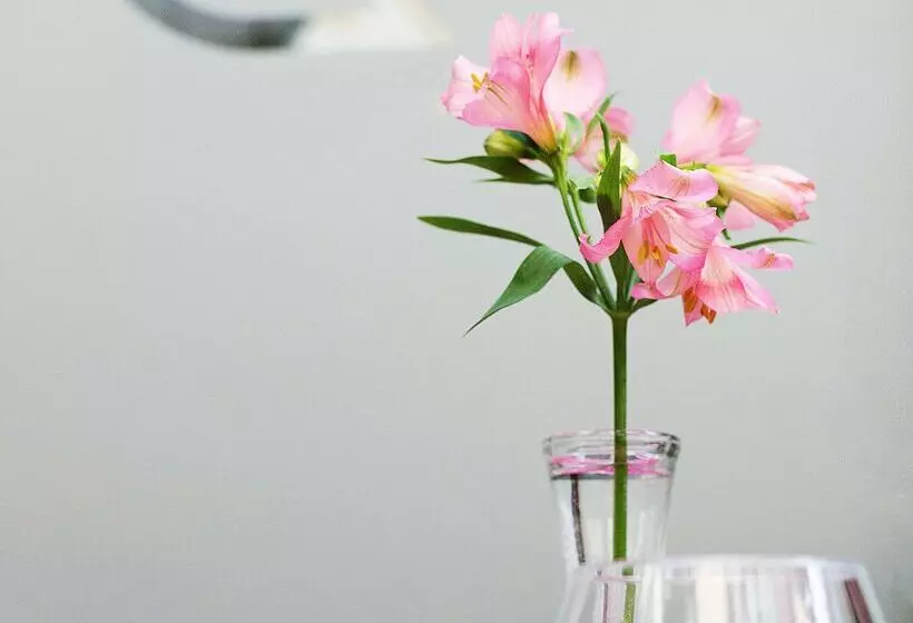 Fotos del hotel Golden Tulip Krakow City Center:  51