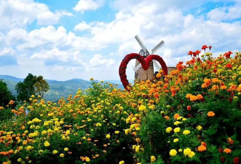 Fotos del hotel The Henry Hotel Cebu:  15