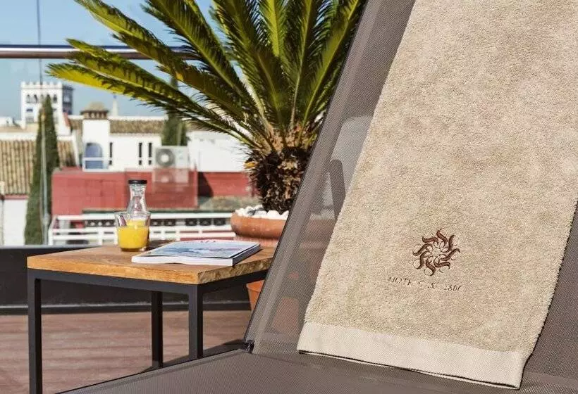 Fotos del hotel Casa 1800 Sevilla:  14