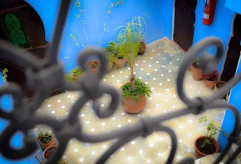 Fotos del hotel Dar Mounir:  19