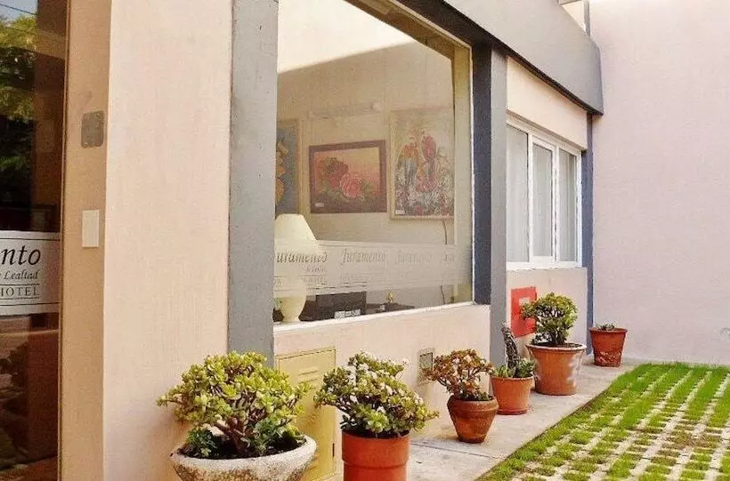 Fotos del hotel Juramento De Lealtad Townhouse:  7