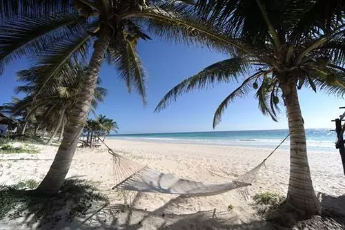 Fotos del hotel Las Ranitas Eco Boutique:  19