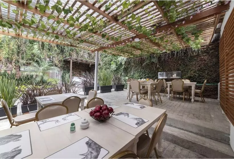 Fotos del hotel Ayenda 1229 Aromax Del Campestre:  9