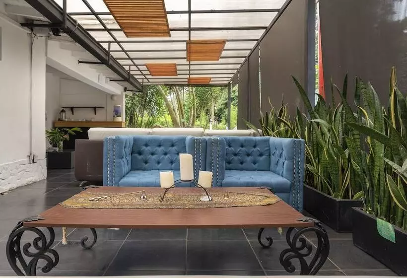 Fotos del hotel Ayenda 1229 Aromax Del Campestre:  10