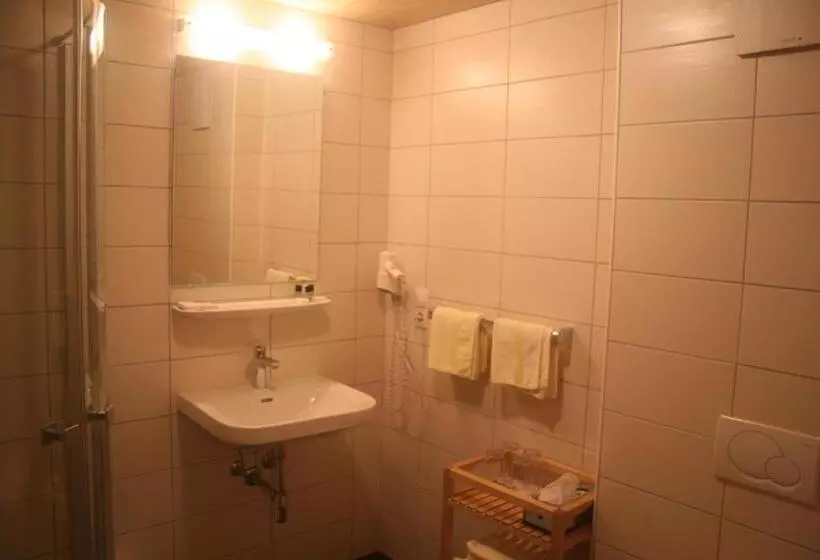 Fotos del hotel Engl:  20