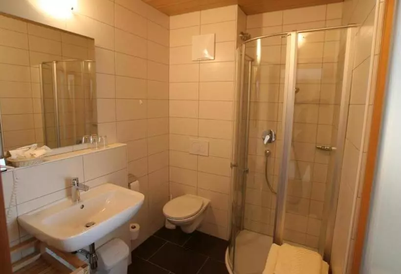 Fotos del hotel Engl:  6