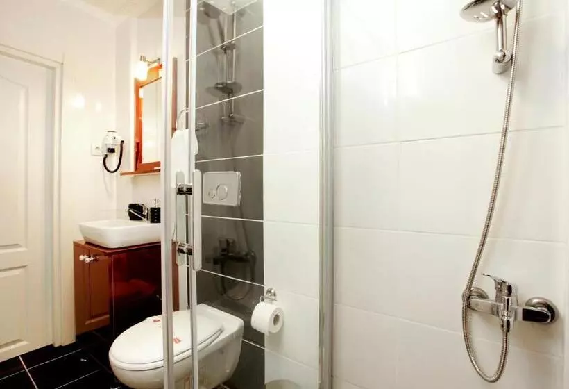 Fotos del hotel Spinel:  8