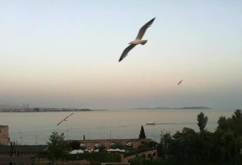 Fotos del hotel Spinel:  5