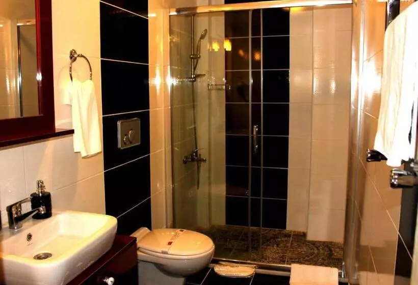 Fotos del hotel Spinel:  15