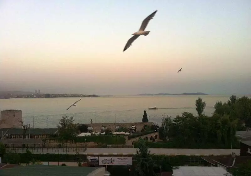 Fotos del hotel Spinel:  16