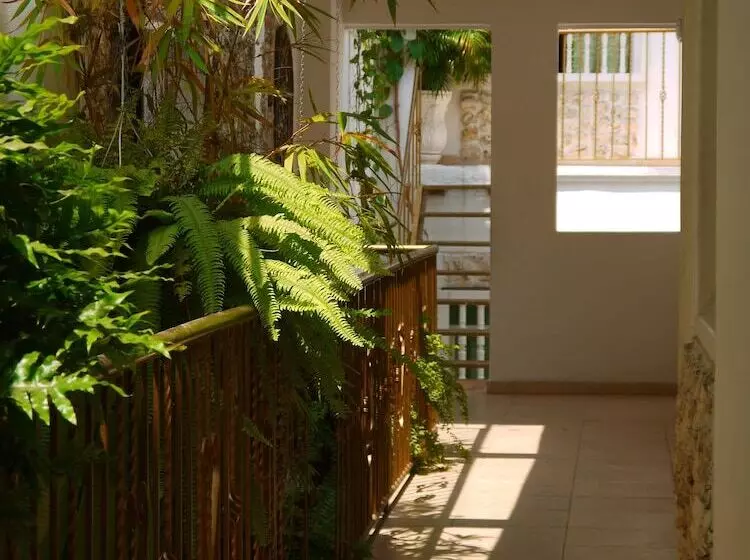 Fotos del hotel Casa Mary:  15