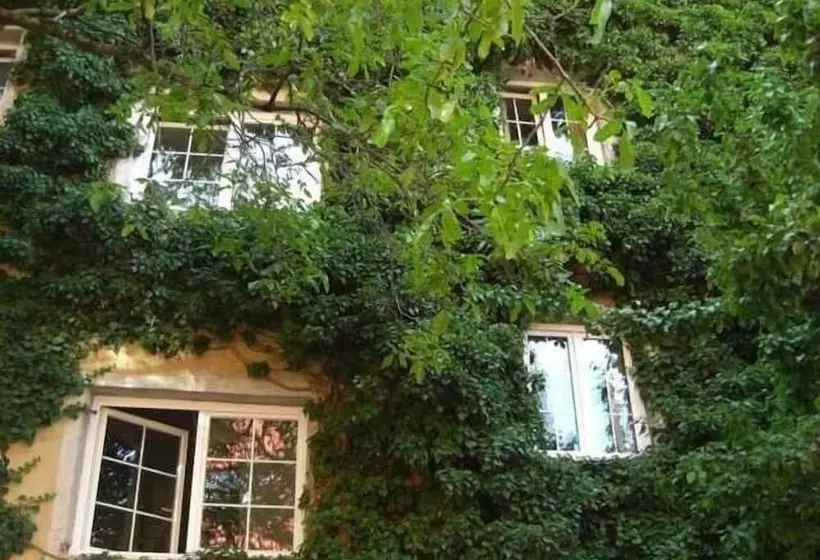 Fotos del hotel Mariahilf München:  9