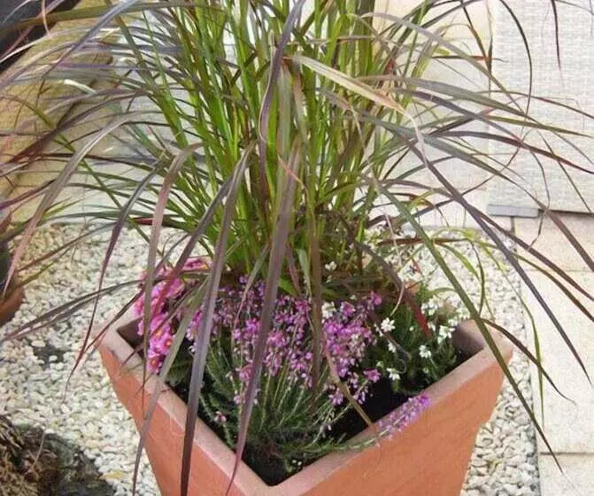 Fotos del hotel Mariahilf München:  12