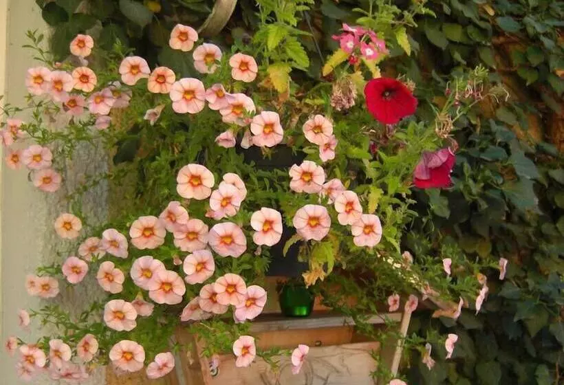 Fotos del hotel Mariahilf München:  4