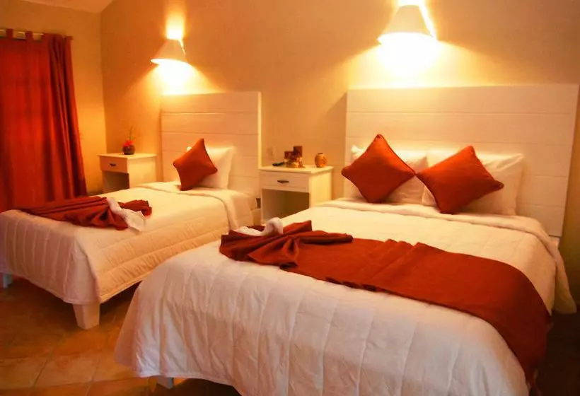 Fotos del hotel Arena Dorada:  16