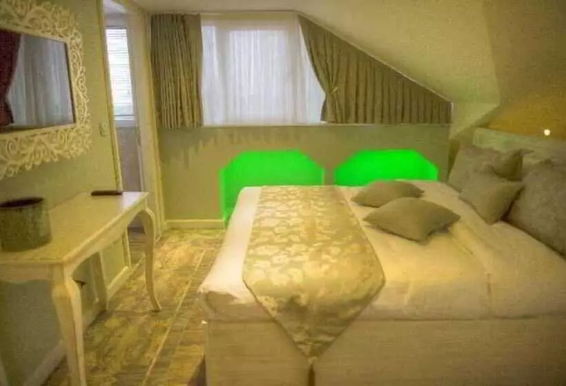 Fotos del hotel Elegance Asia:  20