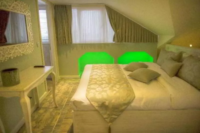 Fotos del hotel Elegance Asia:  24