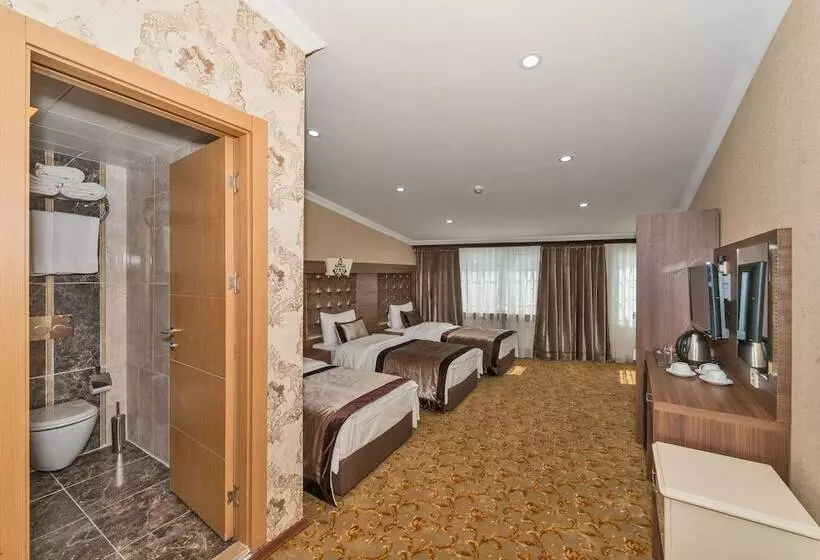 Fotos del hotel Montagna Hera  Taksim:  9