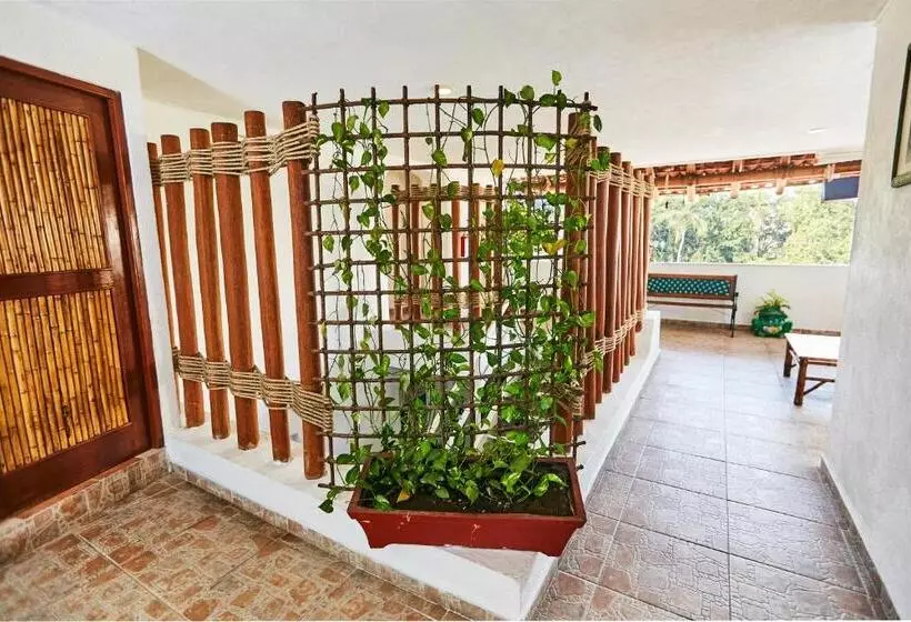 Fotos del hotel Suites Ixtapa Plaza:  6