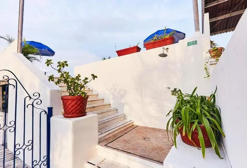 Fotos del hotel Suites Ixtapa Plaza:  13