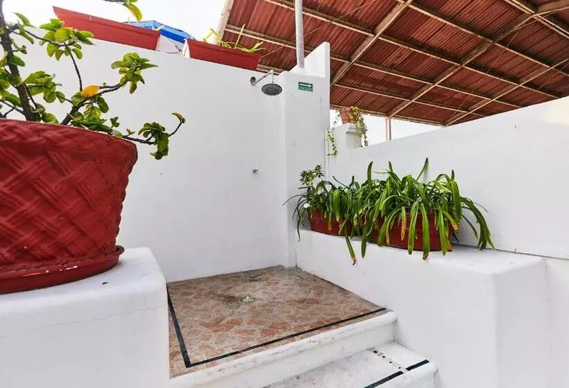 Fotos del hotel Suites Ixtapa Plaza:  17