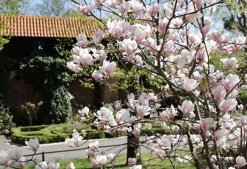 Fotos del hotel 1231:  4