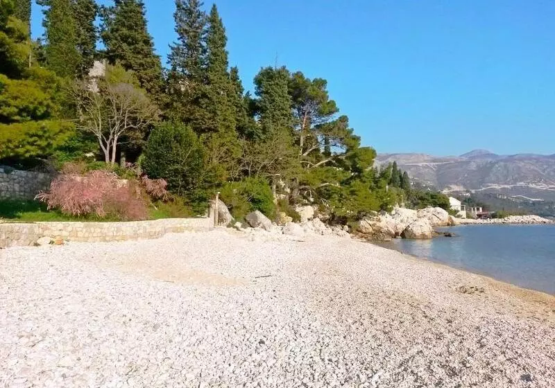 Fotos del hotel House Kata:  9