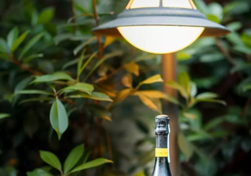 Fotos del hotel Luna:  3