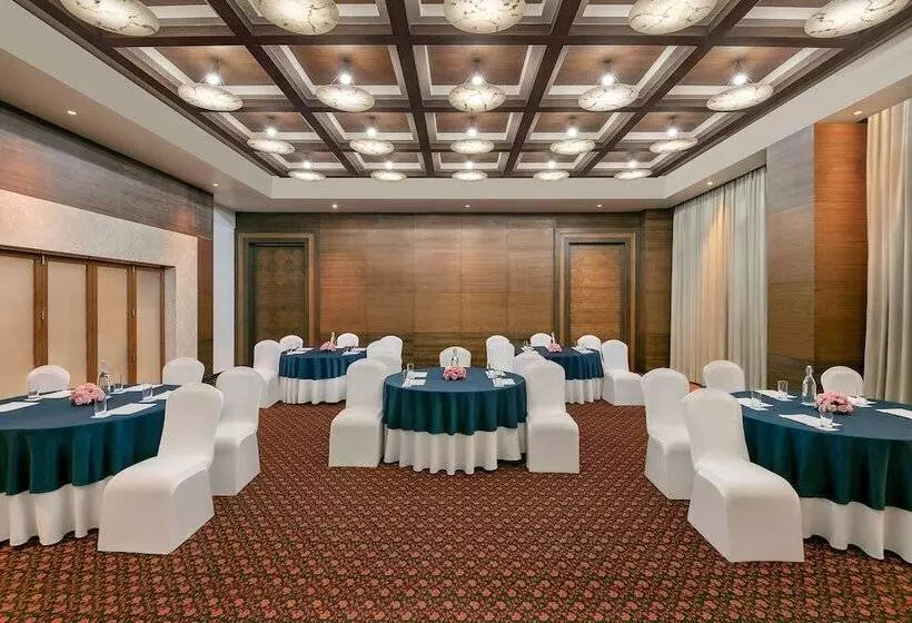 Fotos del hotel Radisson Blu Hotel Ahmedabad:  19