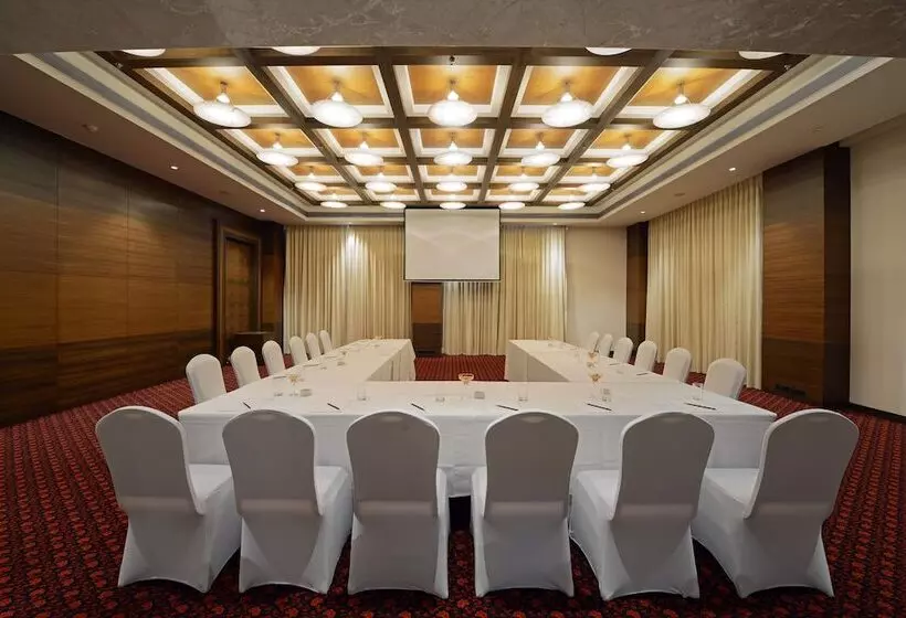 Fotos del hotel Radisson Blu Hotel Ahmedabad:  7